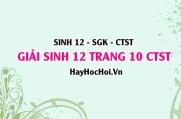 Giải Sinh 12 trang 10 Chân trời sáng tạo SGK